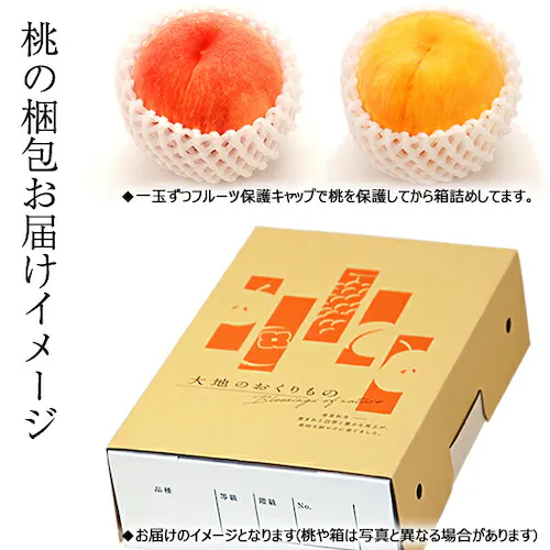 【出荷中】山形県産 白桃・黄桃 詰め合わせ 2kg (秀品/5玉〜8玉入り/クール冷蔵) もも 桃 残暑見舞い ギフト 贈り物 山形 果物 フルーツ お取り寄せ_7