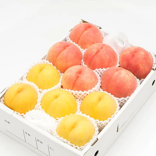 【出荷中】山形県産 白桃・黄桃 詰め合わせ 2kg (秀品/5玉〜8玉入り/クール冷蔵) もも 桃 残暑見舞い ギフト 贈り物 山形 果物 フルーツ お取り寄せ_14
