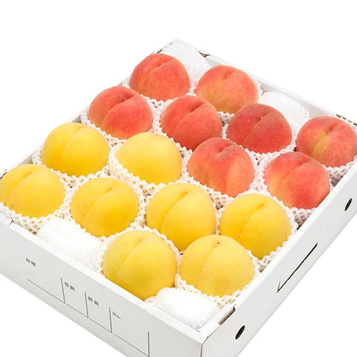【出荷中】山形県産 白桃・黄桃 詰め合わせ 2kg (秀品/5玉〜8玉入り/クール冷蔵) もも 桃 残暑見舞い ギフト 贈り物 山形 果物 フルーツ お取り寄せ_15