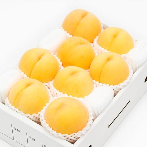 【出荷中】山形県産 黄桃 2kg (有袋栽培/秀品/5玉〜8玉入り/クール冷蔵) もも 桃 残暑見舞い ギフト 贈り物 山形 果物 フルーツ お取り寄せ_5