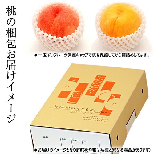 【出荷中】山形県産 黄桃 2kg (有袋栽培/秀品/5玉〜8玉入り/クール冷蔵) もも 桃 残暑見舞い ギフト 贈り物 山形 果物 フルーツ お取り寄せ_7
