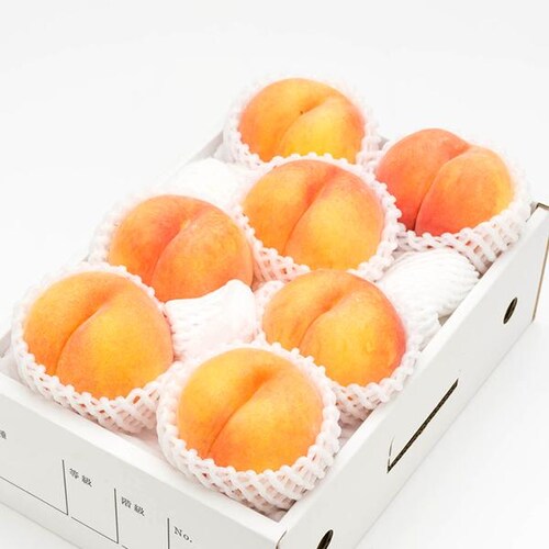 【出荷中】山形県産 黄桃 2kg (有袋栽培/秀品/5玉〜8玉入り/クール冷蔵) もも 桃 残暑見舞い ギフト 贈り物 山形 果物 フルーツ お取り寄せ_14