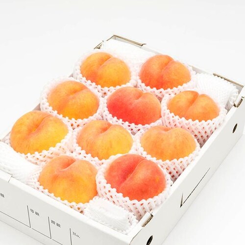 【出荷中】山形県産 黄桃 2kg (有袋栽培/秀品/5玉〜8玉入り/クール冷蔵) もも 桃 残暑見舞い ギフト 贈り物 山形 果物 フルーツ お取り寄せ_15