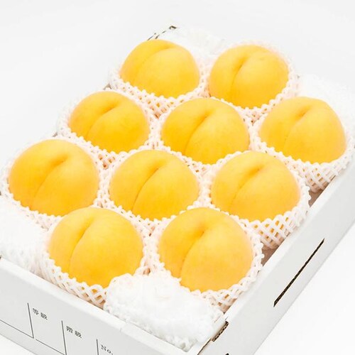 【出荷中】山形県産 黄桃 2kg (有袋栽培/秀品/5玉〜8玉入り/クール冷蔵) もも 桃 残暑見舞い ギフト 贈り物 山形 果物 フルーツ お取り寄せ_17