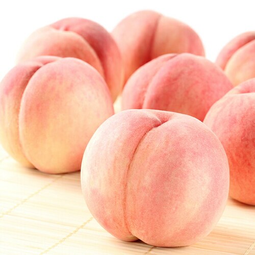 【予約】山形県産 白桃 2kg (秀品/柔らかめ/5玉〜8玉入り/クール冷蔵) もも 桃 ギフト 贈り物 お取り寄せ_5
