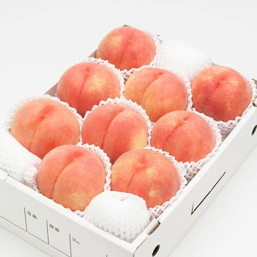 【予約】山形県産 白桃 2kg (秀品/柔らかめ/5玉〜8玉入り/クール冷蔵) もも 桃 ギフト 贈り物 お取り寄せ_16