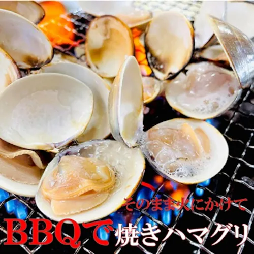 殻付きはまぐり Lサイズ 1Kg (500g×2)砂抜き済み 500gで11〜15個相当 様々な料理に 冷凍はまぐり BBQ お吸い物 だしも活用_2