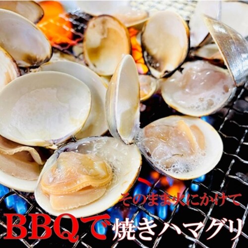 �k�t���͂܂��� L�T�C�Y 500g /PC �������ς� 500����10�`15���� �l�X�ȗ����� �Ⓚ�͂܂��� BBQ ���z���� ���������p�y������s�z_2