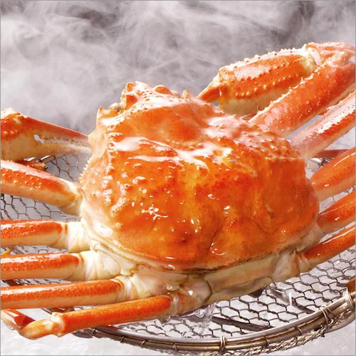 �J�j �Y���C�K�j 950g�~1�� (�p/�{�C���Ⓚ) ���� ���킢�I �C�N �M�t�g ���蕨 ���ƒ�p ���� �����񂹁y������s�z_5