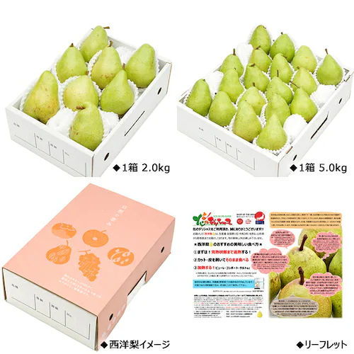 【出荷中】山形県産 西洋梨 マルゲリット・マリーラ 2kg (秀品/4玉〜8玉入り) 洋梨 ギフト 贈り物 贈答 ご家庭用 果物 フルーツ 山形県 お取り寄せ_5