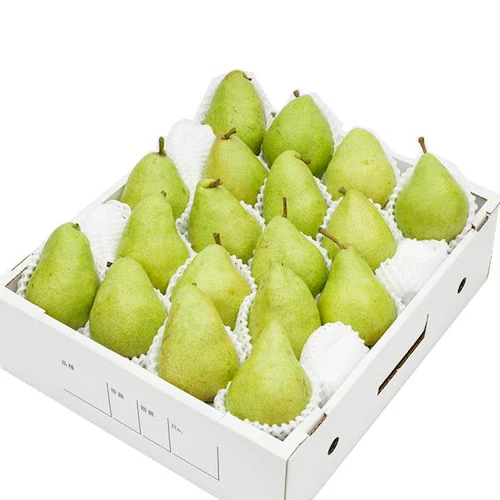 【出荷中】山形県産 西洋梨 マルゲリット・マリーラ 2kg (秀品/4玉〜8玉入り) 洋梨 ギフト 贈り物 贈答 ご家庭用 果物 フルーツ 山形県 お取り寄せ_14