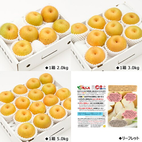【出荷中】山形県産 和梨 刈屋梨 2kg (秀品/4玉〜7玉入り) かりや梨 残暑見舞い ギフト 贈り物 山形 果物 フルーツ お取り寄せ_3