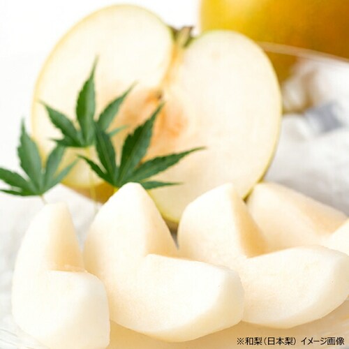 【出荷中】山形県産 和梨 幸水・豊水・あきづき 2kg (秀品/4玉〜8玉入り) 梨 ギフト 贈り物 残暑見舞い ご家庭用 山形 果物 お取り寄せ_7