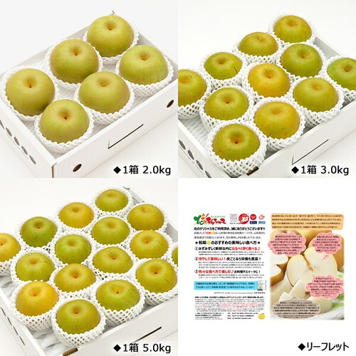 【出荷中】山形県産 和梨 幸水・豊水・あきづき 2kg (秀品/4玉〜8玉入り) 梨 ギフト 贈り物 残暑見舞い ご家庭用 山形 果物 お取り寄せ_20