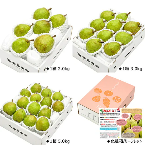 【出荷間近】山形県産 西洋梨 ラ・フランス 2kg (秀品/5玉〜7玉入り) 秋の味覚 洋梨 ラフランス ギフト 贈り物 贈答 ご自宅用 果物 フルーツ 山形県 お取り寄せ_3