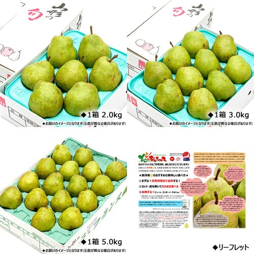 【出荷間近】山形県産 西洋梨 ご家庭用 ラ・フランス 2kg (訳あり/6玉〜9玉入り) 秋の味覚 洋梨 ラフランス 訳あり ご自宅用 果物 フルーツ 山形県 お取り寄せ_2