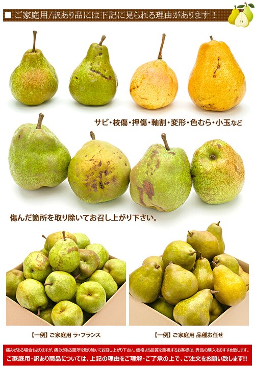 【出荷間近】山形県産 西洋梨 ご家庭用 ラ・フランス 2kg (訳あり/6玉〜9玉入り) 秋の味覚 洋梨 ラフランス 訳あり ご自宅用 果物 フルーツ 山形県 お取り寄せ_3