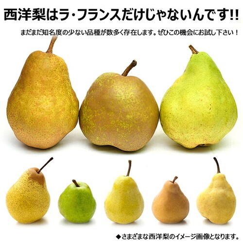 【予約】山形県産 西洋梨 オーロラ 2kg (秀品/6玉〜9玉入り) 洋梨 ギフト 贈り物 贈答 お取り寄せ_2