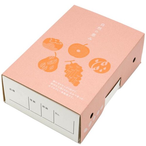【予約】山形県産 西洋梨 オーロラ 2kg (秀品/6玉〜9玉入り) 洋梨 ギフト 贈り物 贈答 お取り寄せ_4
