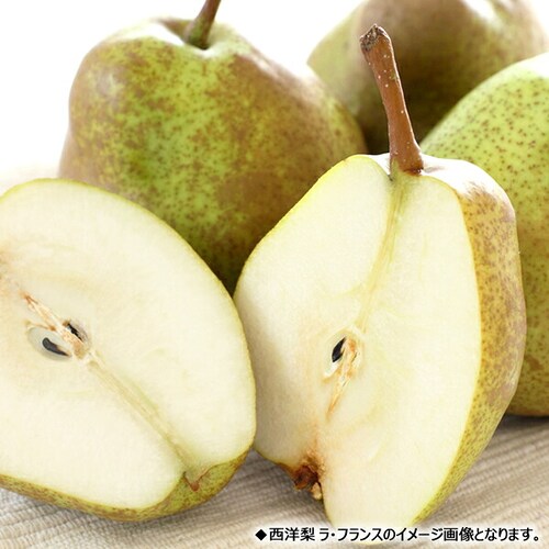 【予約】山形県産 西洋梨 オーロラ 2kg (秀品/6玉〜9玉入り) 洋梨 ギフト 贈り物 贈答 お取り寄せ_8