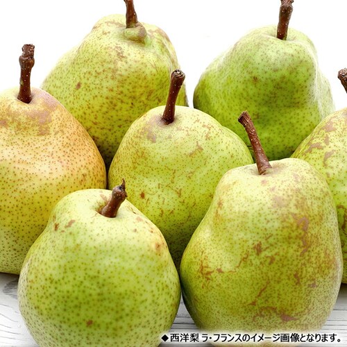 【予約】山形県産 西洋梨 オーロラ 2kg (秀品/6玉〜9玉入り) 洋梨 ギフト 贈り物 贈答 お取り寄せ_9