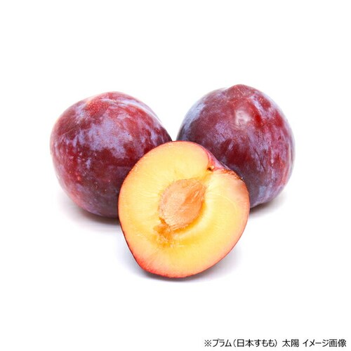 【出荷中】山形県産 プラム 太陽 1.2kg (秀品/10玉〜12玉入り/クール冷蔵) プラム すもも スモモ ギフト 贈り物 ご家庭用 果物 フルーツ 山形 お取り寄せ_1