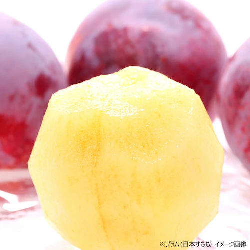 【出荷中】山形県産 プラム 太陽 1.2kg (秀品/10玉〜12玉入り/クール冷蔵) プラム すもも スモモ ギフト 贈り物 ご家庭用 果物 フルーツ 山形 お取り寄せ_3