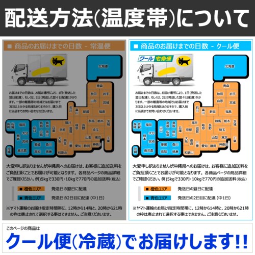 【出荷中】山形県産 プラム 太陽 1.2kg (秀品/10玉〜12玉入り/クール冷蔵) プラム すもも スモモ ギフト 贈り物 ご家庭用 果物 フルーツ 山形 お取り寄せ_10
