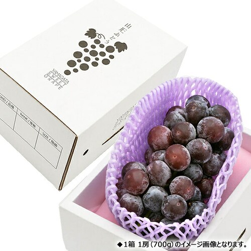 【予約】山形県産 ぶどう ピオーネ 1房 (秀品/700g) ブドウ 葡萄 敬老の日ギフト 贈り物 お取り寄せ_4