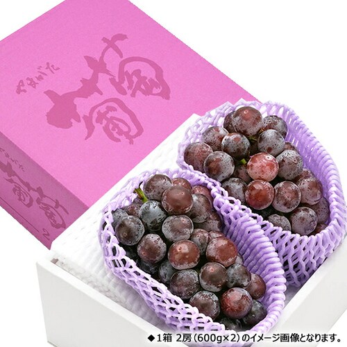 【予約】山形県産 ぶどう ピオーネ 1房 (秀品/700g) ブドウ 葡萄 敬老の日ギフト 贈り物 お取り寄せ_11