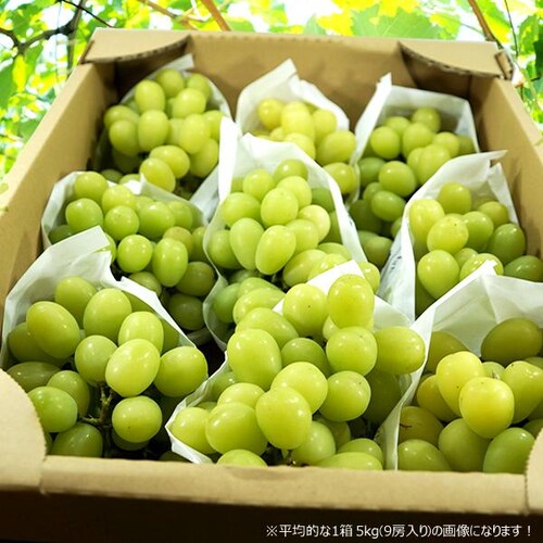 �y�o�ג��z�R�`���Y �Ԃǂ� ���ƒ�p �V���C���}�X�J�b�g 2kg (3�`5�[����) ���� �󂠂� ����p ���ƒ�p �ʕ� �t���[�c ������_15