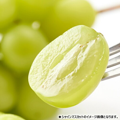 【予約】山形県産 ぶどう シャイン&ピオーネ 2房 (秀品/各600g×1) ブドウ ギフト 贈り物 お取り寄せ_1