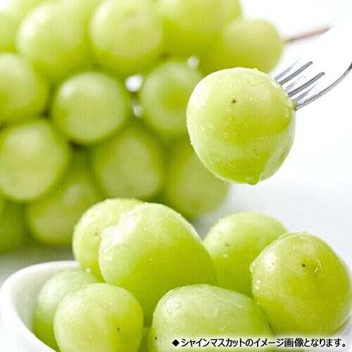 【予約】山形県産 ぶどう シャイン&ピオーネ 2房 (秀品/各600g×1) ブドウ ギフト 贈り物 お取り寄せ_2