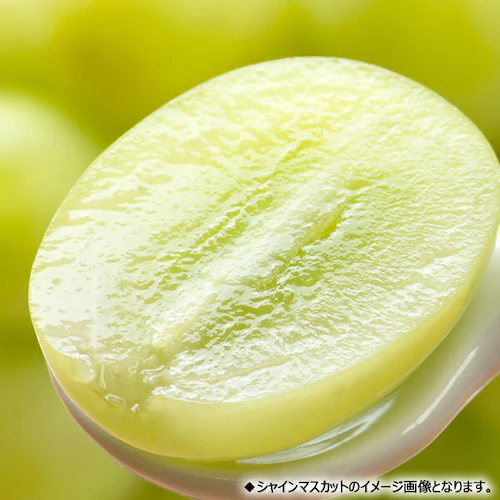 【予約】山形県産 ぶどう シャインマスカット 1房 (秀品/600g×1房) 葡萄 ブドウ ギフト 贈り物 お取り寄せ_3