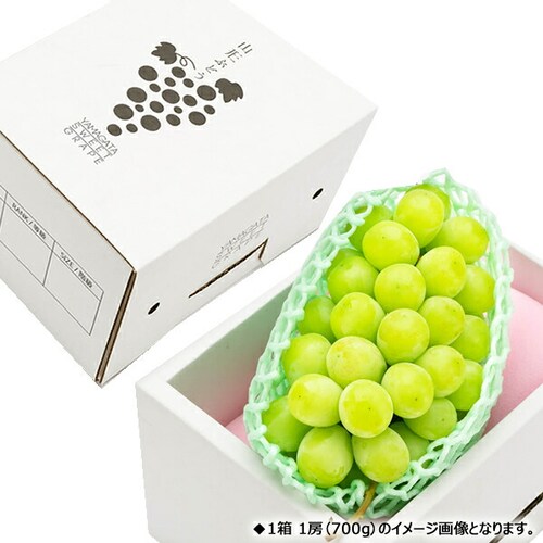 【予約】山形県産 ぶどう シャインマスカット 1房 (秀品/600g×1房) 葡萄 ブドウ ギフト 贈り物 お取り寄せ_5