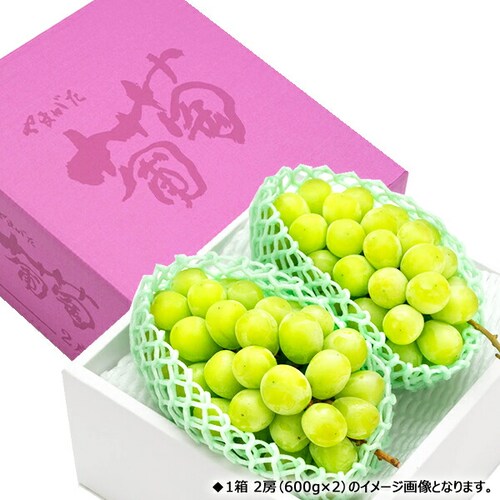 【予約】山形県産 ぶどう シャインマスカット 1房 (秀品/600g×1房) 葡萄 ブドウ ギフト 贈り物 お取り寄せ_12