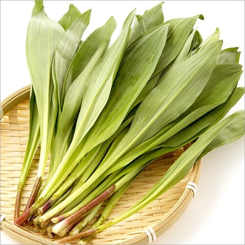 �y�o�ג��z�k�C���Y �R�� ���ƒ�p �s�҂ɂ�ɂ� 500g (�H�p) �󂠂� �V�R �s�҃j���j�N �k�C�� ������_1