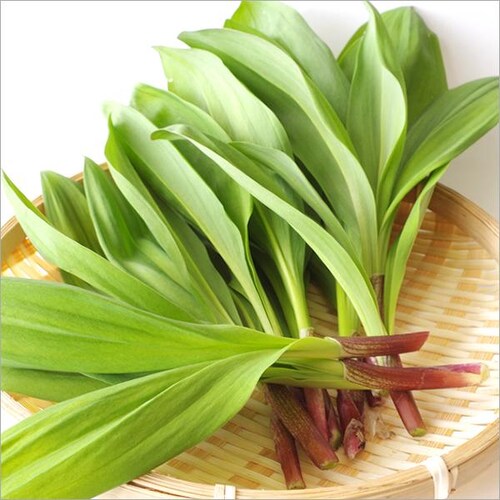 �y�o�ג��z�k�C���Y �R�� ���ƒ�p �s�҂ɂ�ɂ� 500g (�H�p) �󂠂� �V�R �s�҃j���j�N �k�C�� ������_2