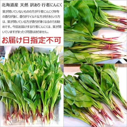 �y�o�ג��z�k�C���Y �R�� ���ƒ�p �s�҂ɂ�ɂ� 500g (�H�p) �󂠂� �V�R �s�҃j���j�N �k�C�� ������_4