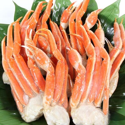 カニ ズワイガニ脚 1箱 2kg×1p (ボイル済み/冷凍) ずわい蟹 ギフト 贈り物 ご家庭用 かに 蟹 お取り寄せ【代引き不可】_3