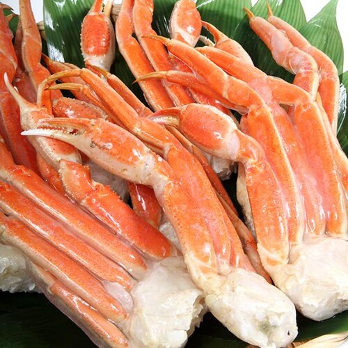 カニ ズワイガニ脚 1箱 2kg×1p (ボイル済み/冷凍) ずわい蟹 ギフト 贈り物 ご家庭用 かに 蟹 お取り寄せ【代引き不可】_4