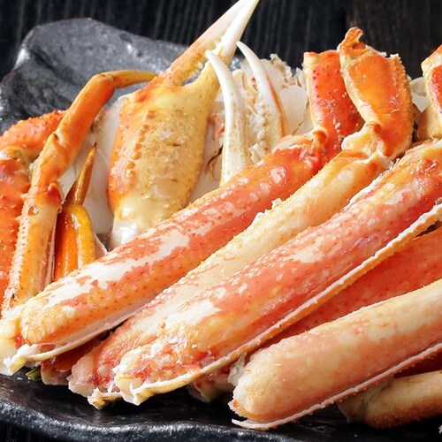 �J�j �Y���C�K�j�r 1�� 800g (�r�[�h���J�b�g/�{�C���ς�/�Ⓚ) ���킢�I �M�t�g ���ƒ�p ���� �����񂹁y������s�z_1