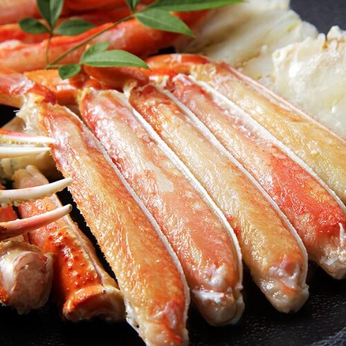 �J�j �Y���C�K�j�r 1�� 800g (�r�[�h���J�b�g/�{�C���ς�/�Ⓚ) ���킢�I �M�t�g ���ƒ�p ���� �����񂹁y������s�z_2