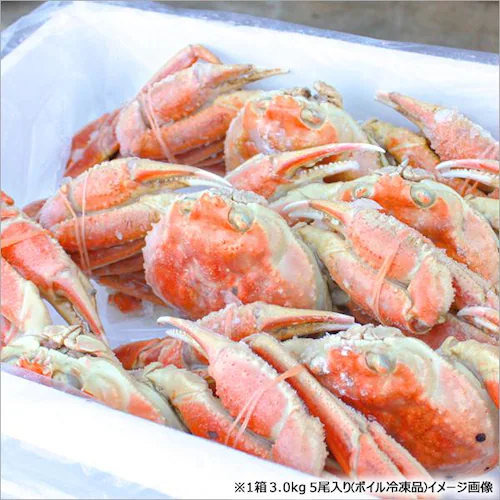 �J�j �󂠂� �Y���C�K�j 2kg�� (�p/3���`4������/�{�C���ς�/�Ⓚ�i) �킯���� ���ƒ�p �I �����񂹁y������s�z_1