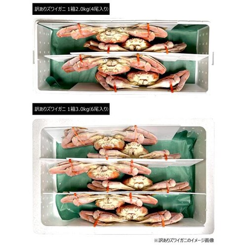 �J�j �󂠂� �Y���C�K�j 2kg�� (�p/3���`4������/�{�C���ς�/�Ⓚ�i) �킯���� ���ƒ�p �I �����񂹁y������s�z_2