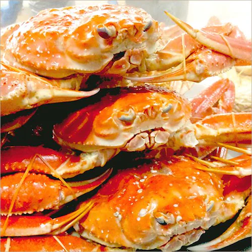 �J�j �󂠂� �Y���C�K�j 2kg�� (�p/3���`4������/�{�C���ς�/�Ⓚ�i) �킯���� ���ƒ�p �I �����񂹁y������s�z_5