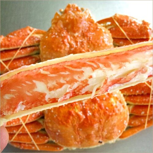 �J�j �󂠂� �Y���C�K�j 2kg�� (�p/3���`4������/�{�C���ς�/�Ⓚ�i) �킯���� ���ƒ�p �I �����񂹁y������s�z_6