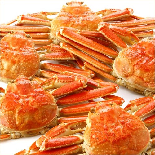 �J�j �󂠂� �Y���C�K�j 2kg�� (�p/3���`4������/�{�C���ς�/�Ⓚ�i) �킯���� ���ƒ�p �I �����񂹁y������s�z_7