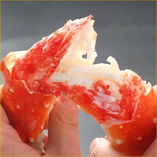 �J�j �k�C�� �O��I�Z�b�g A (�уK�j570g/�^���o�r800g/�Y���C780g) ���� �C�N �M�t�g ���� �����񂹁y������s�z_3