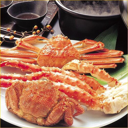 �J�j �k�C�� �O��I�Z�b�g A (�уK�j570g/�^���o�r800g/�Y���C780g) ���� �C�N �M�t�g ���� �����񂹁y������s�z_5